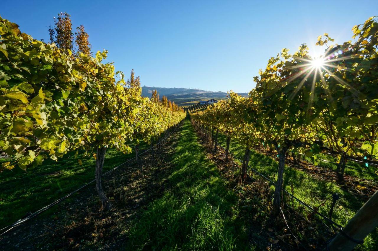 The Vineyards Lodge Chelan Exteriér fotografie
